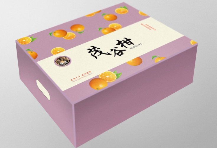 广州水果包装盒定做.png